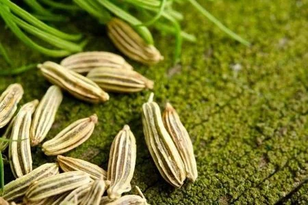 خواص زیره سبز برای کبد چرب