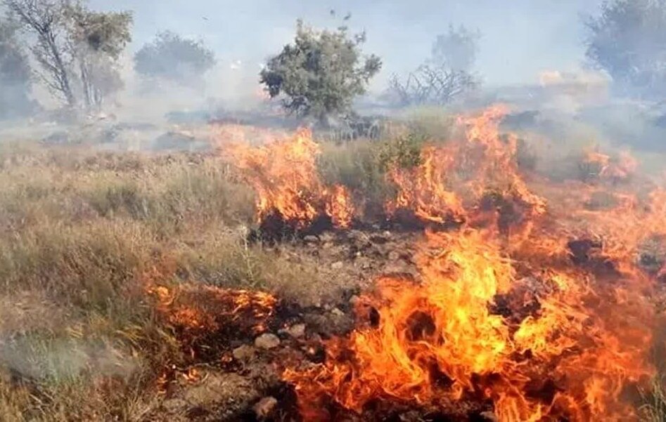 آتش در مراتع روستای گریوان شعله‌ور شد - خبرگزاری مهر | اخبار ایران و جهان