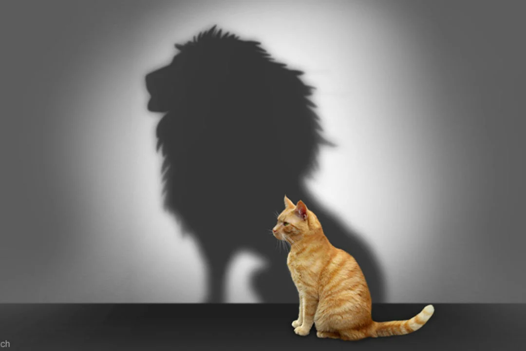 چگونه اعتماد به نفس کاذب را از بین ببریم؟