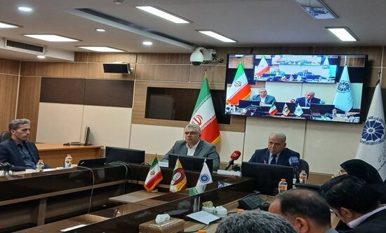 فراهم شدن امکان فروش کالای ایرانی در سکوی آنلاین چین