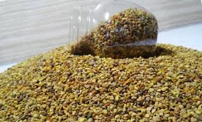 گرده گل طبیعی؛ مکملی شگفت انگیز برای سلامتی و انرژی
